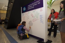 Painel de depoimentos 2