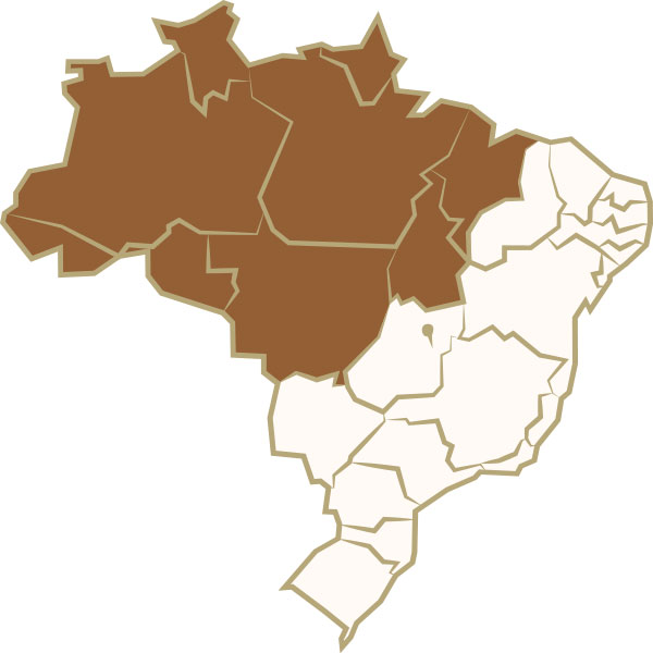 Garimpo na Amazônia